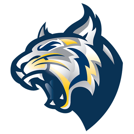 OXFORD WILDCAT BANDS